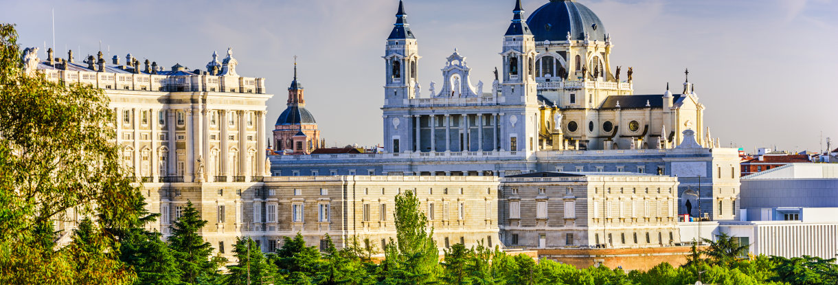 Private and guided tours of Madrid Highlights