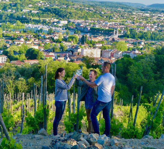 Private tour of Vienne and wine near Lyon