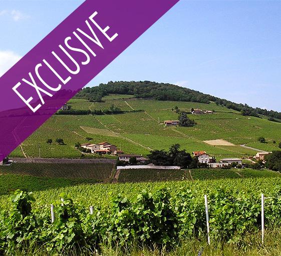 Visite privée du Beaujolais et dégustation de vins