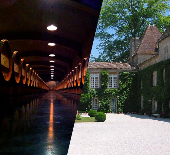 Private wine tasting tour in palaces around Graves in Bordeaux region