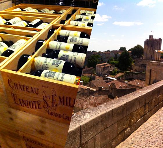 Private wine tasting tour in the Saint-Emilion near Bordeaux