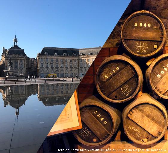Visite privée vin et histoire à Bordeaux