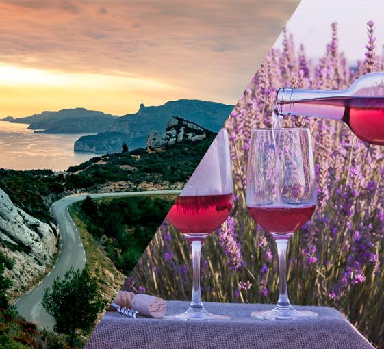 Visite privée en Provence avec dégustation de vin rosé depuis Marseille