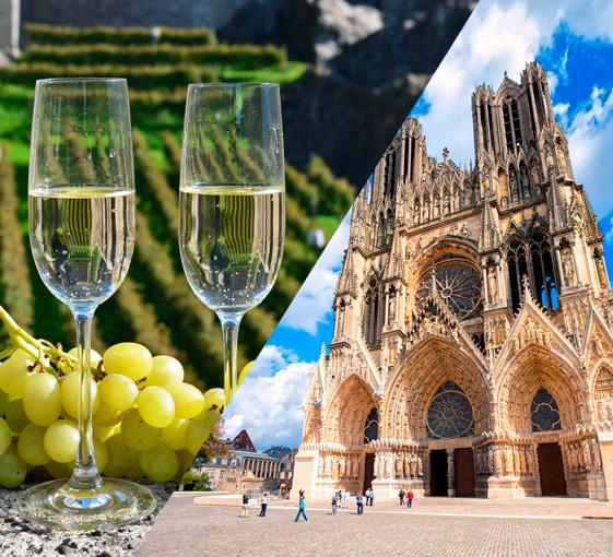 Private oenological and history tour around Reims in departure from Paris