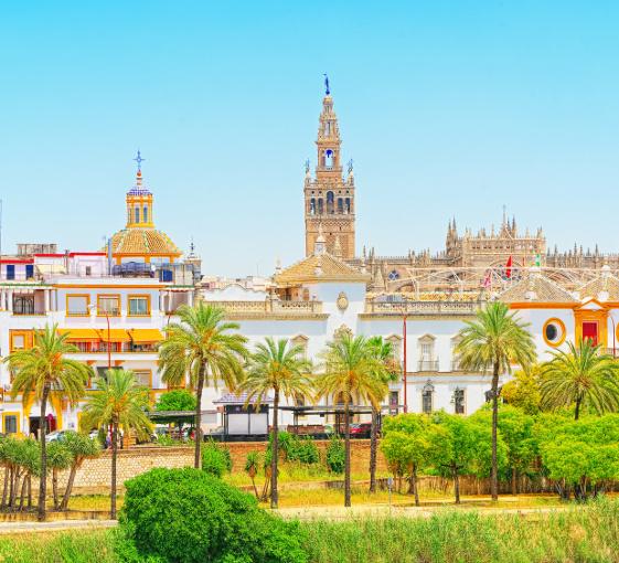 Private panoramic walking tour in Seville