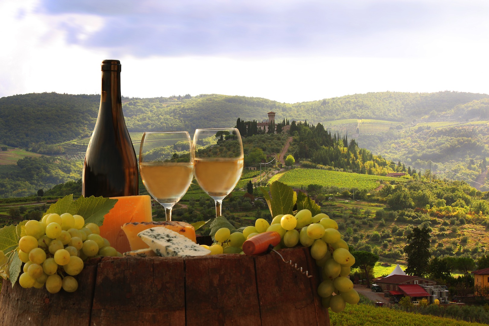 wine tours in veneto italy