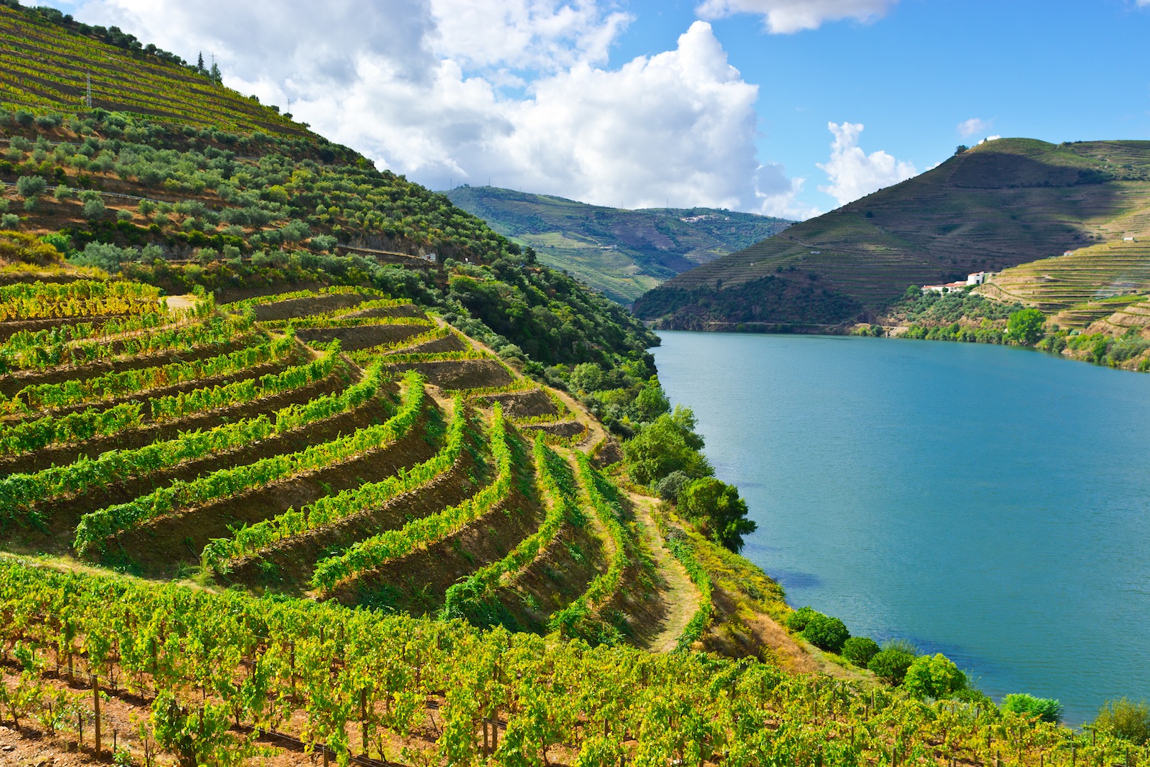 vineyard tours in portugal