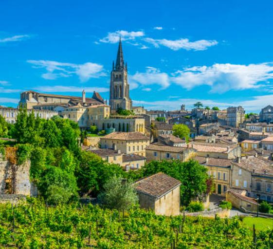 Visite privée avec des dégustations de vin depuis Bordeaux